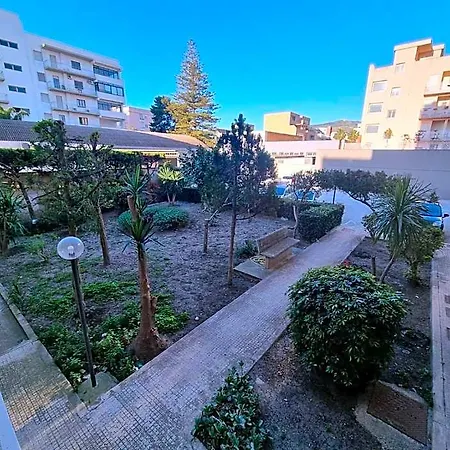 Vida Trapani